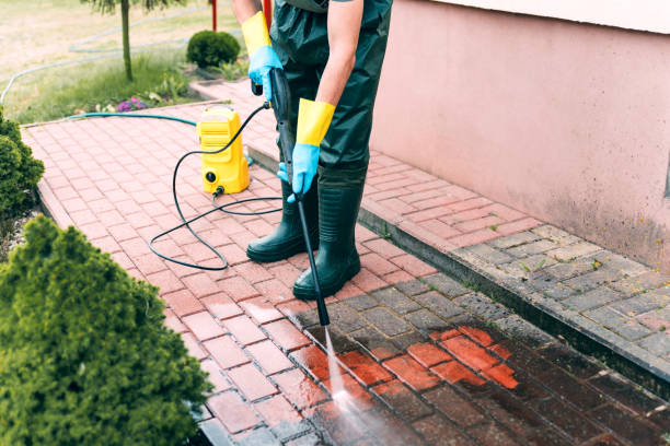 Best Roof Pressure Washing  in Clairton, PA