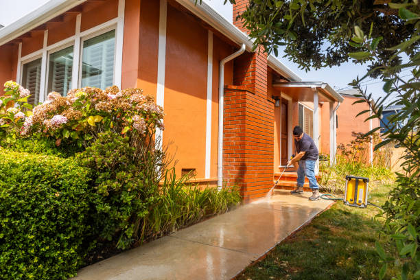 Best Pressure Washing Near Me  in Clairton, PA